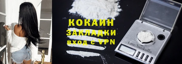 прущие грибы Беломорск