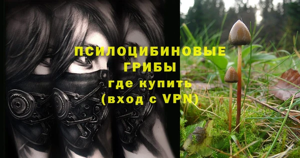 герыч Белокуриха