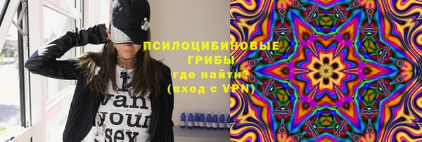 прущие грибы Беломорск
