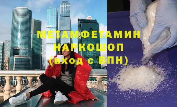 прущие грибы Беломорск