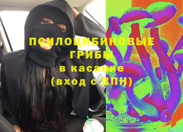 прущие грибы Беломорск