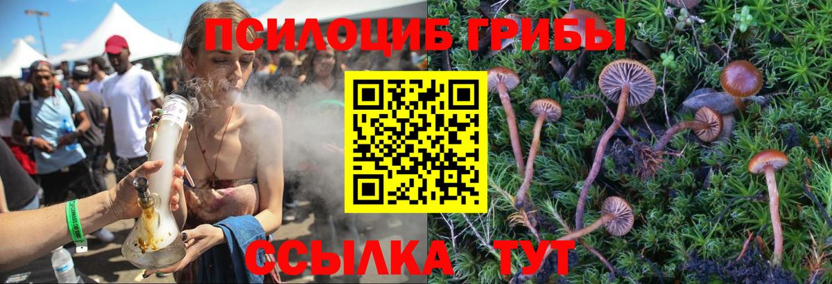 Пыть-Ях  Галлюциногенные грибы Psilocybine cubensis  Вход с VPN  Псилоцибиновые грибы ЛСД 