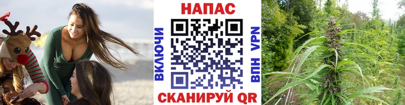 Канабис Amnesia Пыть-Ях